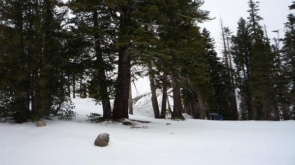 Snowshoe path