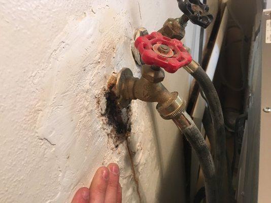 Mold and rot can commonly be found around water fixtures.