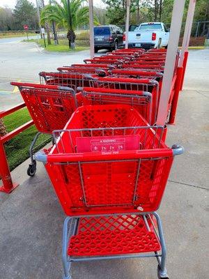 Dec 2021: Pic 8 of 12-- covered carts. I was S0 excited to R0LL!