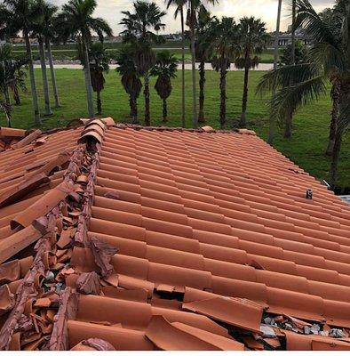 Wind Storm Damage