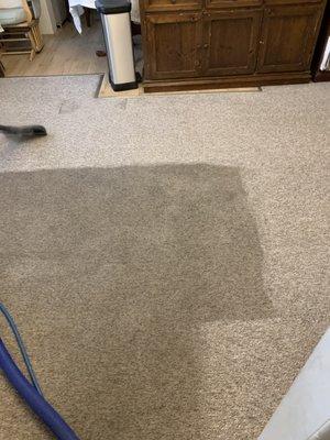 Unlimited Carpet Cleaning