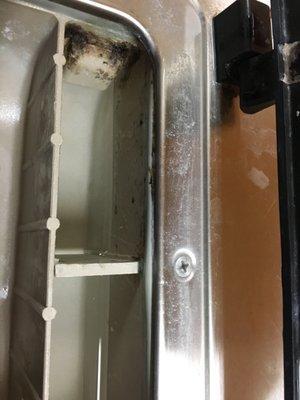 mildew and mold in washer #3