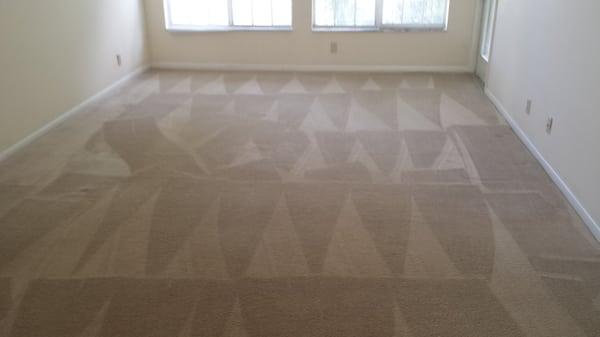 Clean carpet