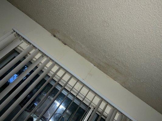 Water damage on the ceiling that leaks and leaves puddles on my floor and they never fixed it!