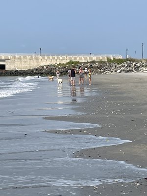 Longport Dog Beach