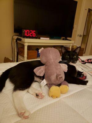 Nikki relaxes at home with her stuffed buddy.