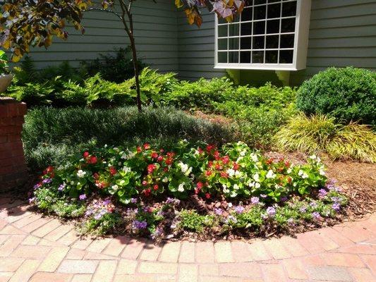 Seasonal Flower Beds Installation by E.G. Landscapes Services