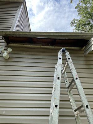 Facia replacement and gutter