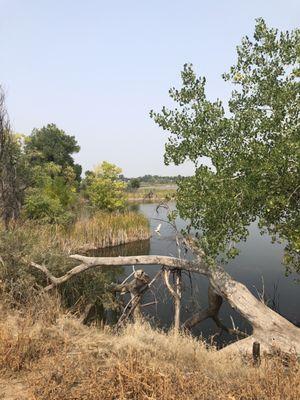 Riverbend Ponds Natural Area