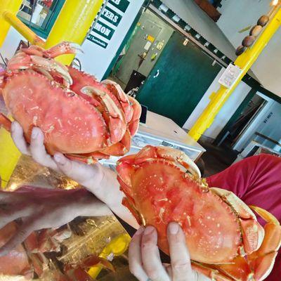 Hanthorn Crab Company