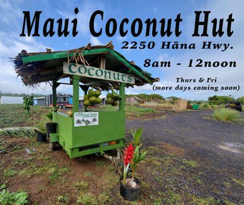 Maui Coconut Hut