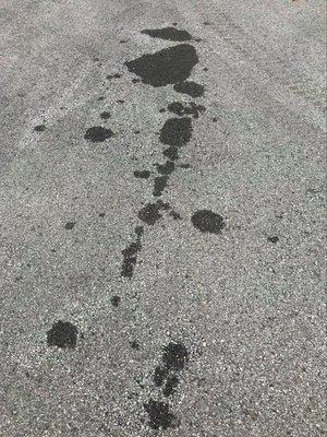 Oil stain left in our driveway by Bill's truck.