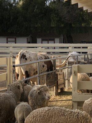 Leonis Adobe Museum