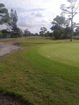 Forest oaks. 1st tee.