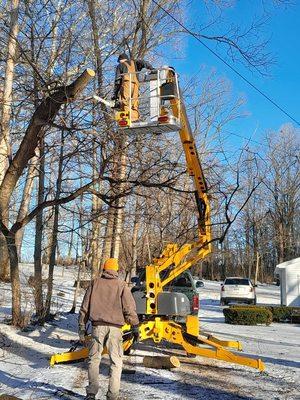 Massey's Tree Care