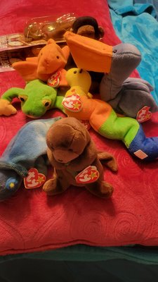 My beanie baby's