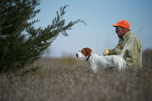 Berg Bros Setters ®