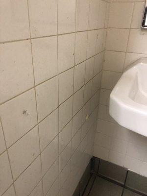 Dirty bathroom walls with wet dried tissue.