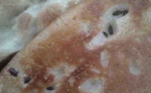 pizza with rat poop baked into it