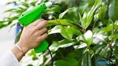 Spraying through a handheld sprayer