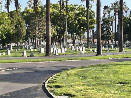 Cemetery