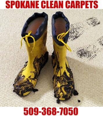 Spokane Clean Carpets is the best residential and commercial carpet cleaning company in Spokane, WA. Call today: 509-368-7050