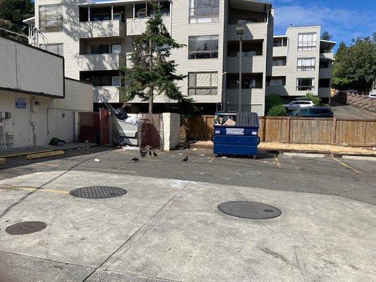 Open garbage can, crap everywhere, employees don't care