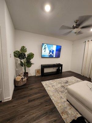 Houston Original Tv Mounting