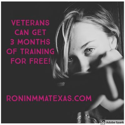 Free training for vets