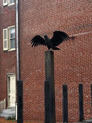 The raven outside the house