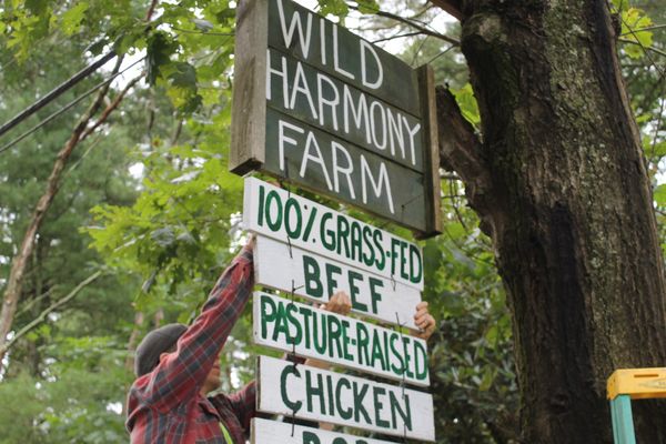 Wild Harmony Farm