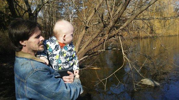 Beautiful duck pond