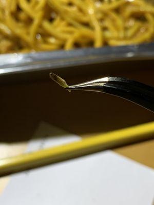 A maggot in ShopRite Chicken Lo Mein