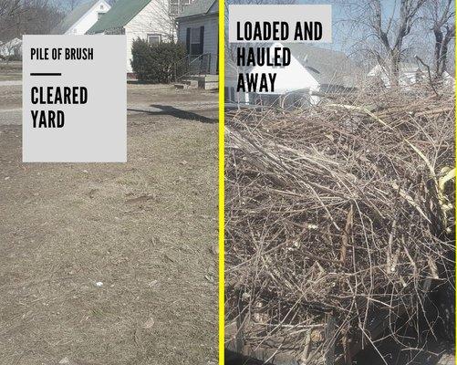 Yard Brush Removal