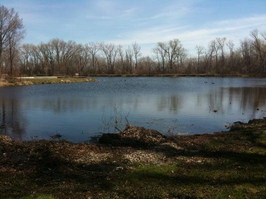 Wolf Lake view from Club 81 Too backyard