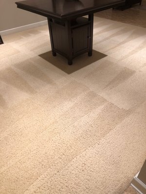 Our carpets have never been so clean!