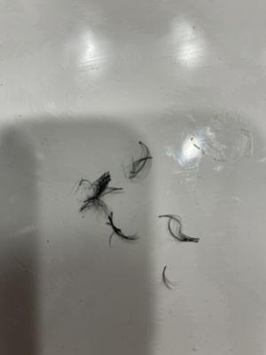 What was left of my sad little lashes this morning.