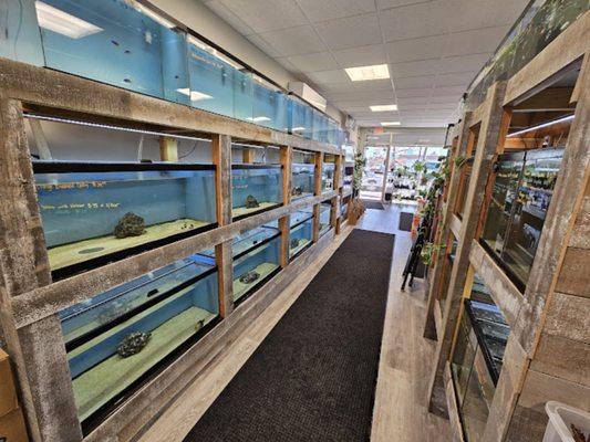 Wide Variety of Tropical Fish & More.