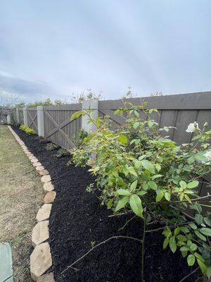 New beds and plants