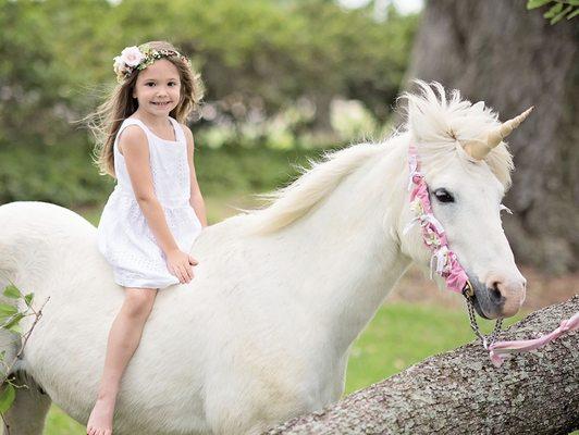 Wildwood Farm Unicorn Parties