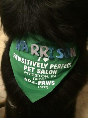 Cute custom bandana!