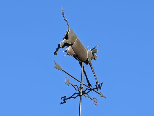 Super Scoops Weather Vane