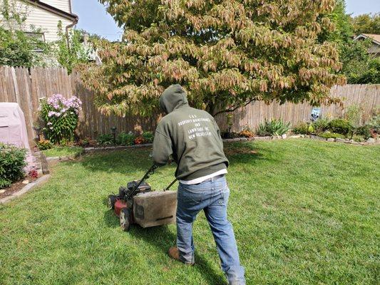 Mowing