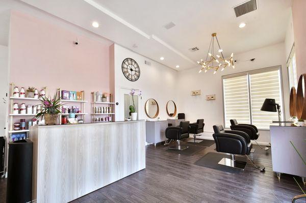 Salon picture