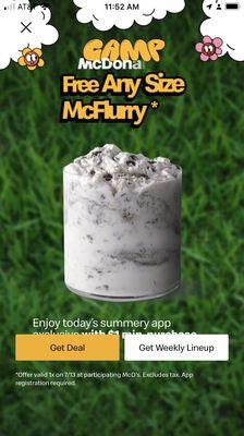 Regular Oreo McFlurry