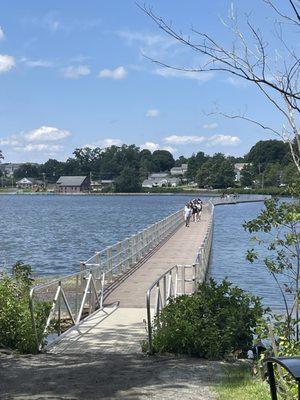 Lake Williams Boardwalk