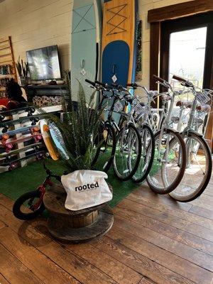 Bike Rentals