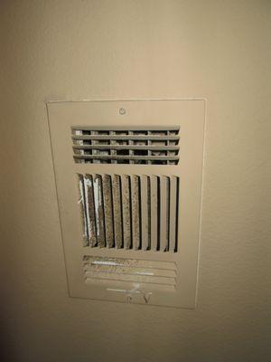 Mold Observed on Air Vent Register