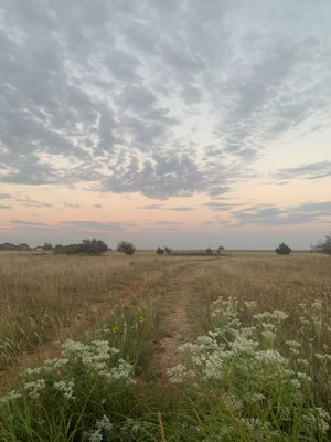 Raw land: ranch, farm, recreational.