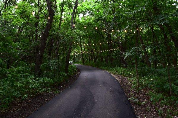 The trail leading to our enchanting, secluded hidden chapel in the woods.